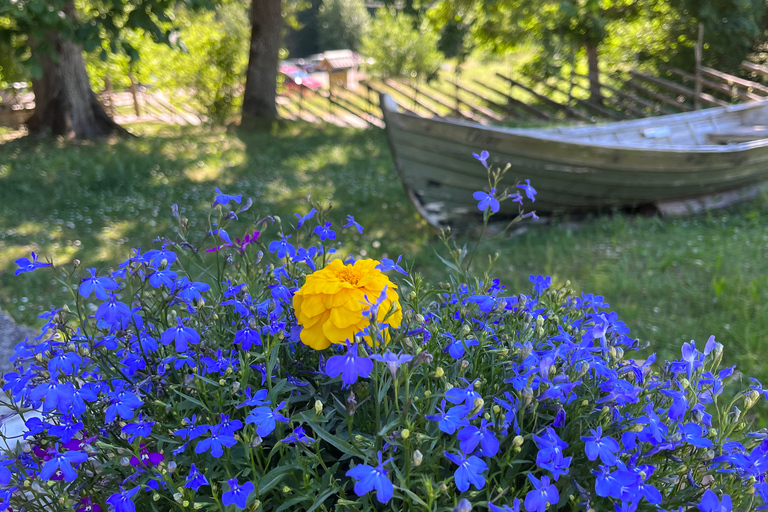 Van Tallinn: dagtrip naar nationaal park Lahemaa met snacksVan Tallinn: dagtrip naar nationaal park Lahemaa met picknick