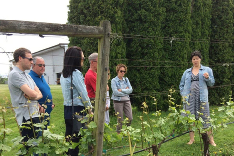 From Vancouver: Fraser Valley Wine Tour with Local Tastings From Vancouver: Fraser Valley Wine Tour with Tastings