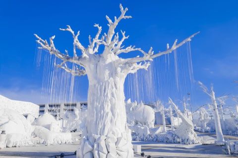 Pattaya: biglietto d'ingresso turistico "Frost Magical Ice of Siam".