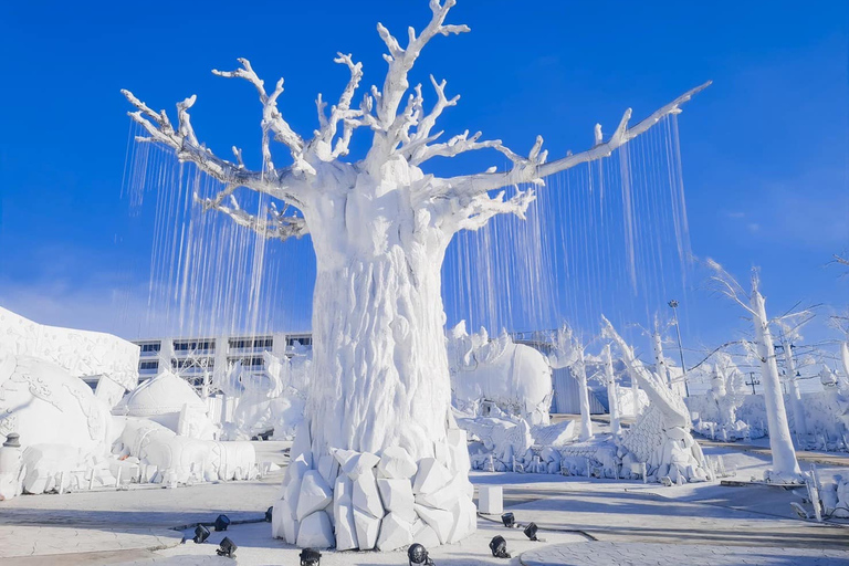 Pattaya: Boleto de entrada turística 'Frost Magical Ice of Siam'