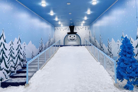 Pattaya: billet d'entrée touristique «Frost Magical Ice of Siam»