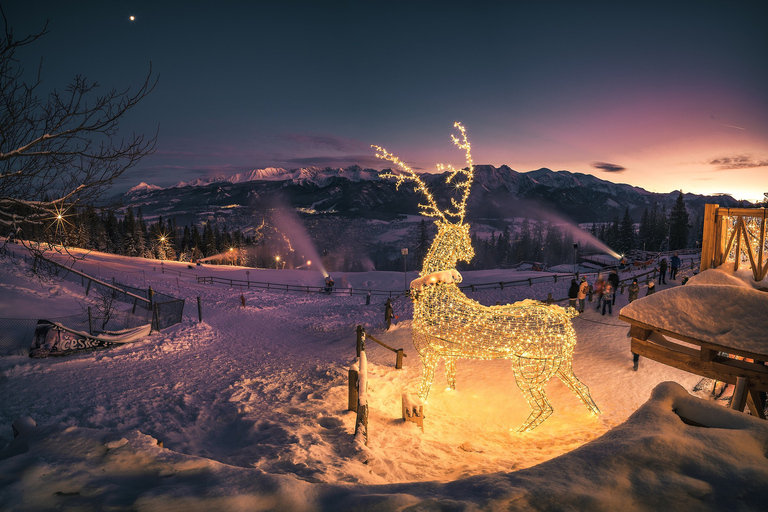 Z Krakowa: Zakopane i baseny termalne