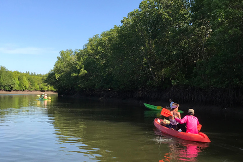 Ko Lanta: Tour di mezza giornata in kayak con mangrovie e pranzo