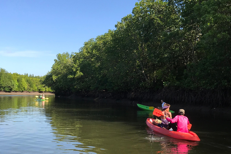 Ko Lanta : Visite d'une demi-journée en kayak dans la mangrove avec déjeuner