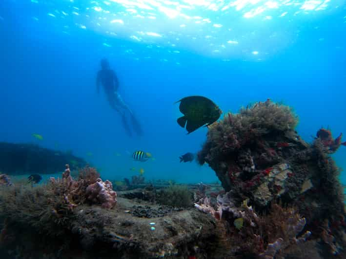 Riviera Beach, FL: Blue Heron Bridge Reef Snorkeling Tour | GetYourGuide