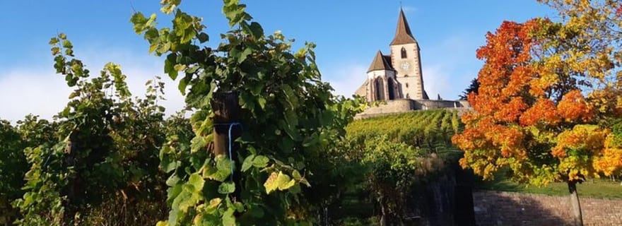 Iconiques Villages typiques et château du Haut Koenigsbourg