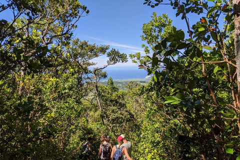 Mauritius: Private South West 7 Colored Earth Tour & Lunch