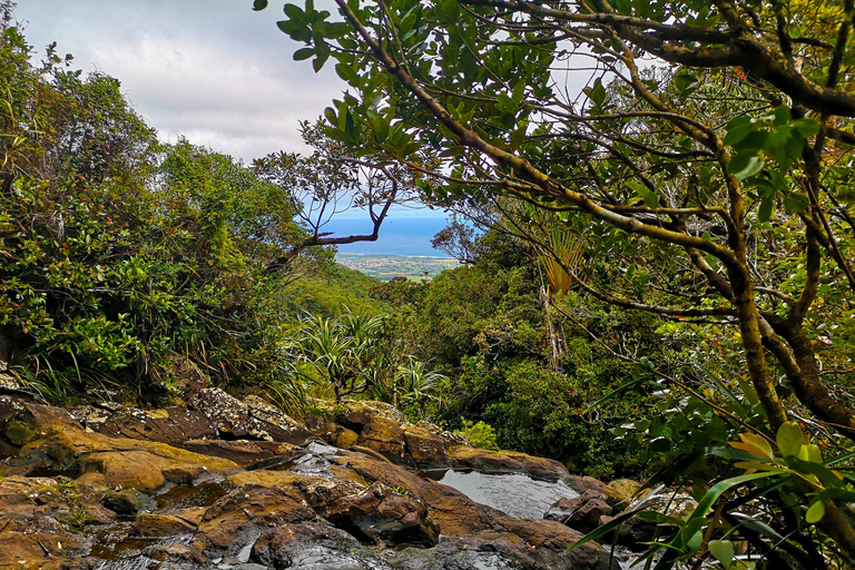 Mauritius: Private South West 7 Coloured Earth Tour & Lunch