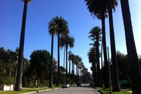 Californië: downloadbare audiogids voor Highway 1 en meer
