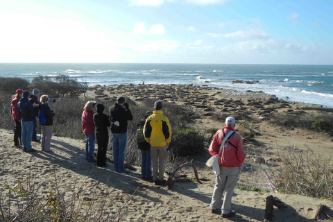 Santa Maria - Monterey: Pacific Coast Self-Driving Tour App