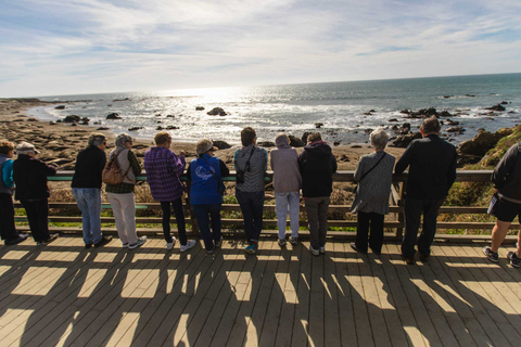 Santa Maria - Monterey: Aplikacja do samodzielnej jazdy po wybrzeżu PacyfikuSanta Maria - Monterey: aplikacja do samodzielnej jazdy po wybrzeżu Pacyfiku