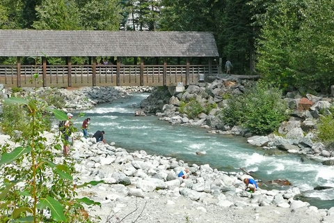 From Vancouver: Whistler and Shannon Falls Private Day Trip