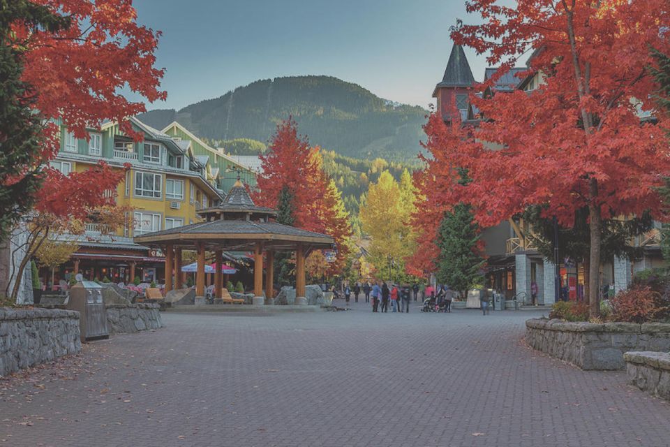 From Vancouver: Whistler and Shannon Falls Private Day Trip | GetYourGuide