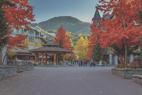 From Vancouver: Whistler and Shannon Falls Private Day Trip