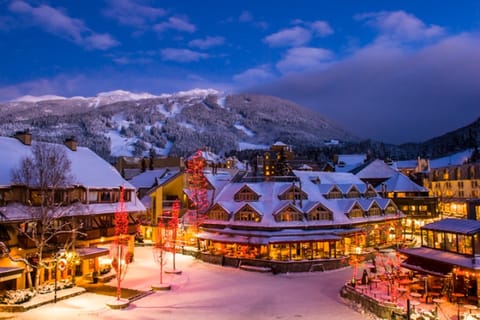 From Vancouver: Whistler and Shannon Falls Private Day Trip