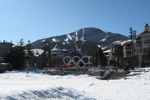 From Vancouver: Whistler and Shannon Falls Private Day Trip