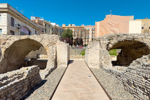 Roman Circus & Praetorium Combined Entry Ticket Tarraco