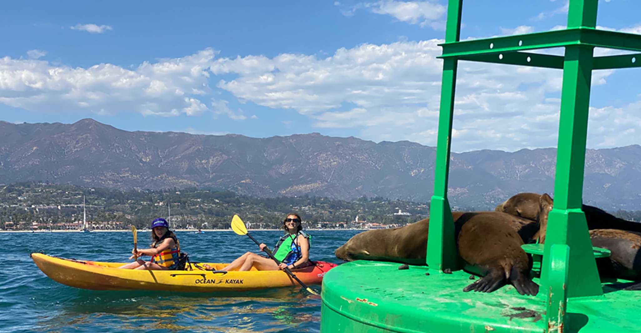 Santa Barbara, Visite guidée en kayak de lion de mer - Hizvo