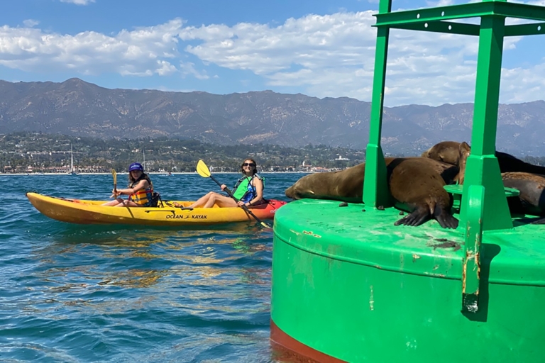 Santa Bárbara: tour guiado en kayak con leones marinos