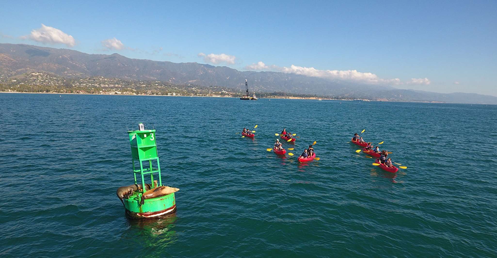 Santa Barbara, Visite guidée en kayak de lion de mer - Hizvo