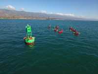 Santa Barbara, Visite guidée en kayak de lion de mer - Hizvo