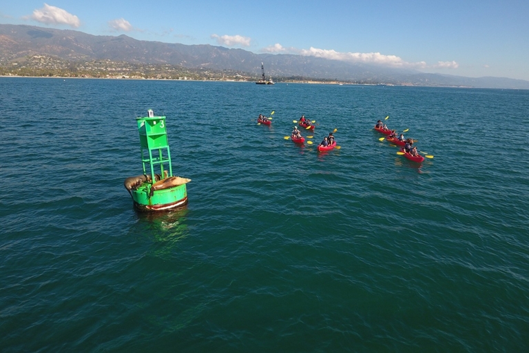 Santa Barbara: Guided Sea Lion Kayaking Tour