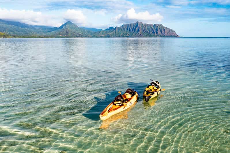 Oahu Kaneohe SelfGuided Sandbar Kayaking Experience GetYourGuide