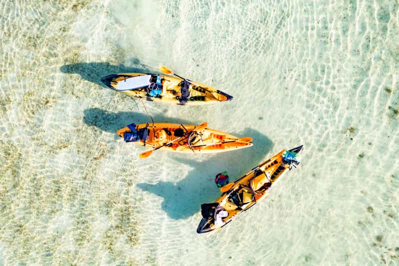 Oahu Kaneohe SelfGuided Sandbar Kayaking Experience GetYourGuide