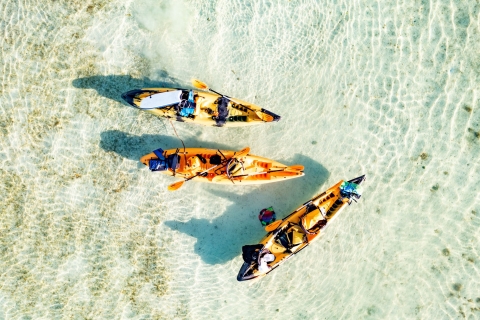 Kaneohe: experiencia autoguiada de kayak en banco de arenaAlquiler de 4 horas