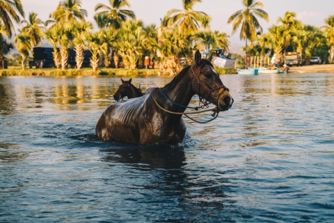 Puerto Escondido: sunset horse ride Puerto Escondido: Horse Ride to the Atotonilco Hot Springs