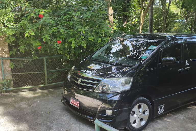 Rocklands Bird Sanctuary: visite de 2 heures à Montego Bay