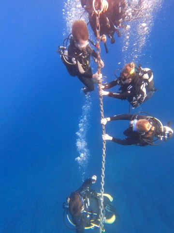 Visit Basic Diver 1 day course in Villasimius in Costa Rei