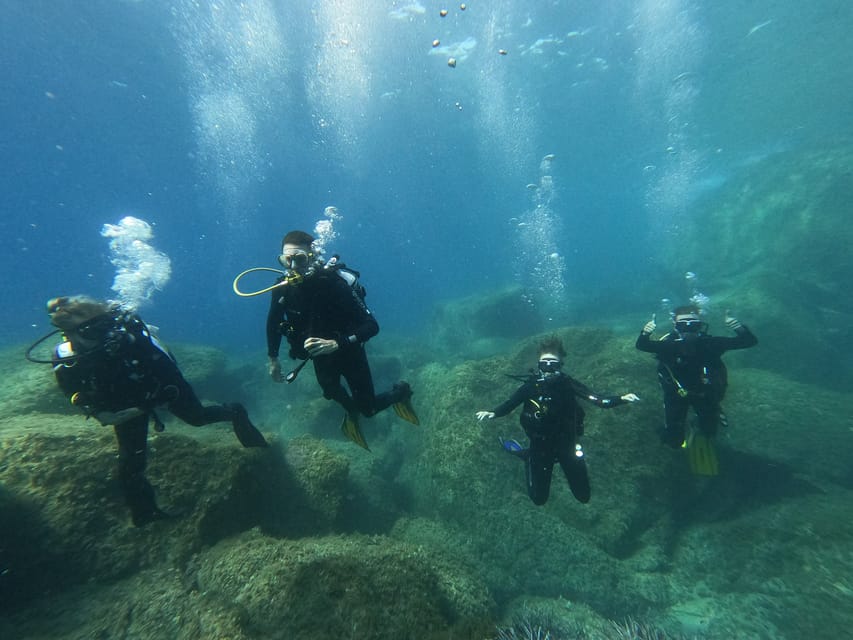 Curso Basic Diver de 1 día en Villasimius - Hizvo