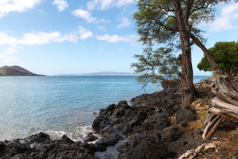 Maui: Samodzielna wycieczka samochodem po parkach plażowych z przewodnikiem audio