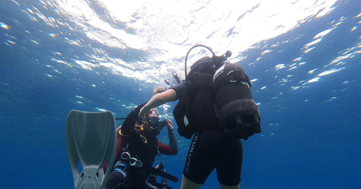 Open Water Diver E Niveau Cursus In Villasimius Getyourguide