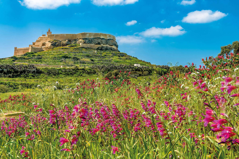 From Sliema: Gozo, Comino & The Blue Lagoon Boat & Bus Tour