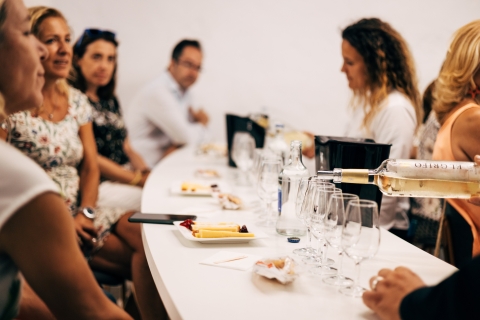 Lanzarote: Wine Tasting Tour at El Grifo Bodega Tour in English