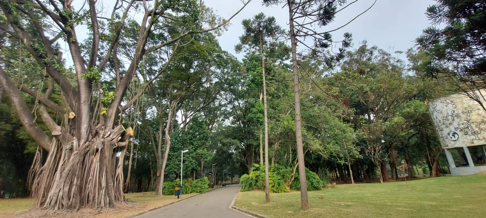 Colagem de mídia
