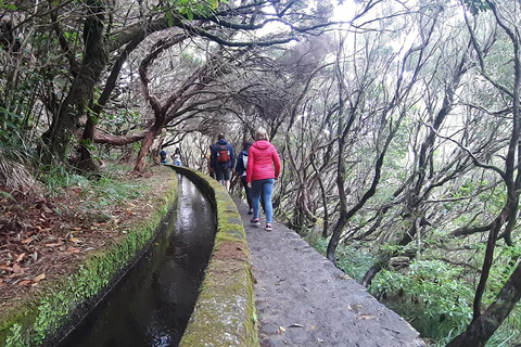 Autoguiado Levada 25 Fontes & Risco en RabaçalDesde Funchal: traslado al parque Rabacal y senderismo autoguiado