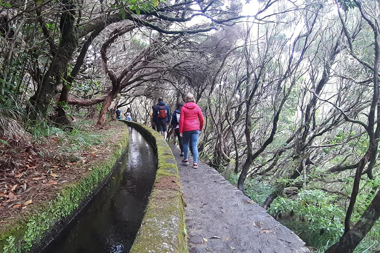 Autoguiado Levada 25 Fontes & Risco en RabaçalDesde Funchal: traslado al parque Rabacal y senderismo autoguiado