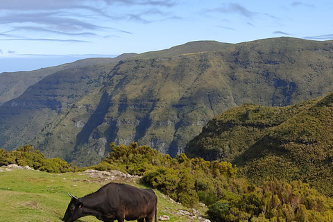 Autoguiado Levada 25 Fontes & Risco en RabaçalDesde Funchal: traslado al parque Rabacal y senderismo autoguiado