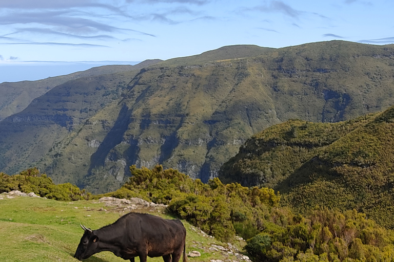 Autoguiado Levada 25 Fontes & Risco en RabaçalDesde Funchal: traslado al parque Rabacal y senderismo autoguiado