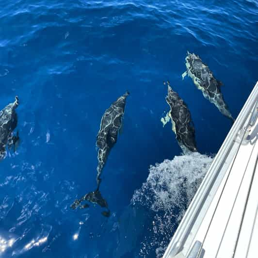 Morro Jable: Excursión en barco con comida y bebidas