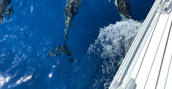 Seekrankheit bei Kindern auf Fuerteventura: die Fahrt richtig wählen