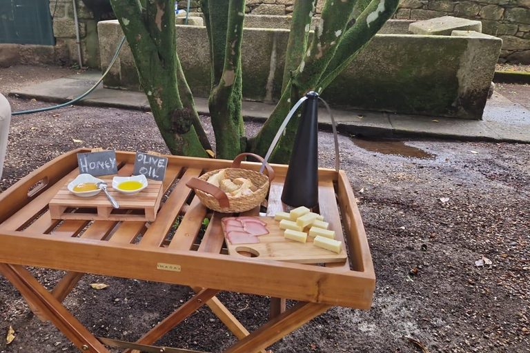 VALLEE DU DOURO : Visite guidée des vignobles, croisière et déjeuner dans un établissement vinicole.Visite privée