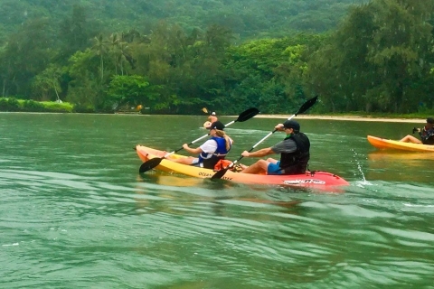 Oahu: alquiler de kayak en el río Kahana RainforestTour autoguiado en kayak por el río Kahana Rainforest River