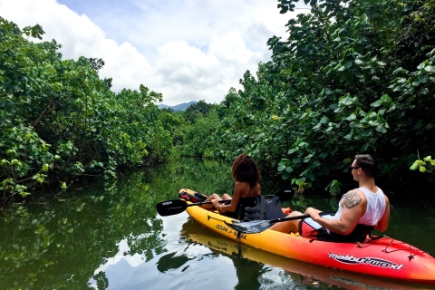 Oahu: Kahana Rainforest River KajakverleihKahana Rainforest River Kajak Selbstgeführte Tour