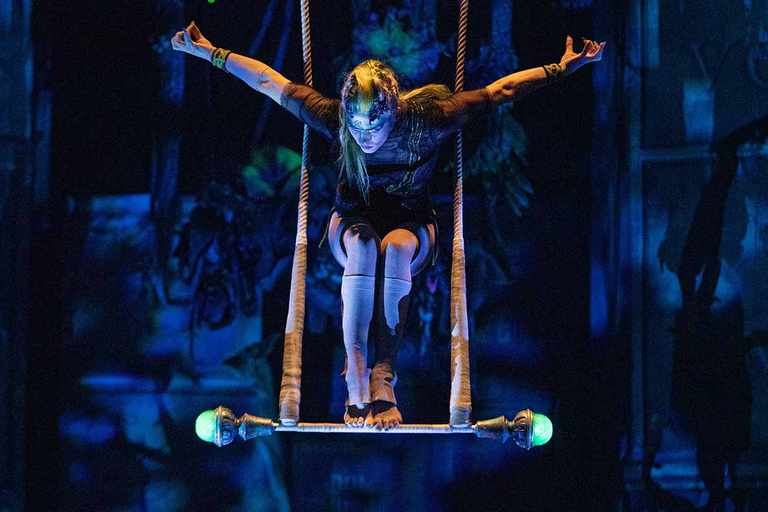 Cirque du Soleil JOYÀ - TransportMiejsca premium + transfer + zdjęcie