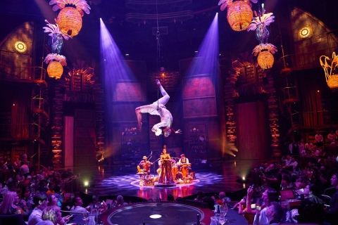 Cirque Du Soleil JOYÀ in Riviera Maya Show, Premium Seats, Drinks & Appetizers Experience