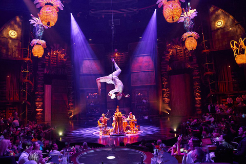 Cirque Du Soleil JOYÀ in Riviera Maya Show & Dinner Experience